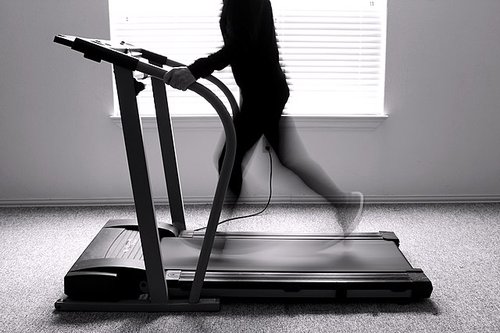 Exercise_Treadmill_Convey_Motion