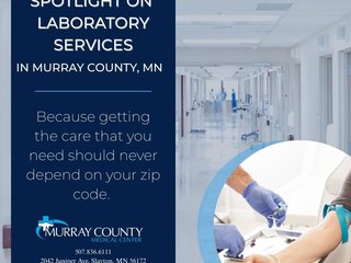 Lab Spotlight Blog Post 2025