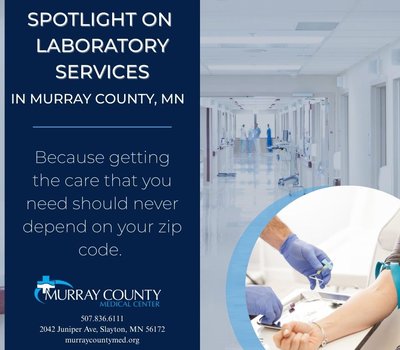 Lab Spotlight Blog Post 2025