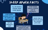 Sleep Apnea Facts