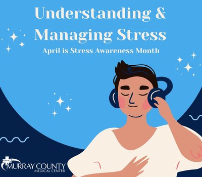 Understanding & Managing Stress (FacebookBlog Post)