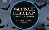 Vaccinate for a bat Blog 2025