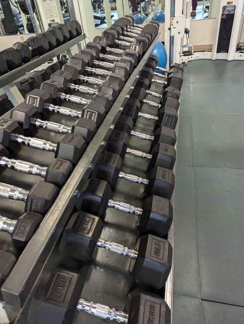 dumbbells at gym